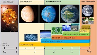 LA COMPARSA DELLA VITA SULLA TERRA [upl. by Yran]