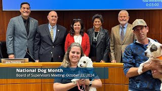 National Dog Month at the Board of Supervisors [upl. by Morice819]