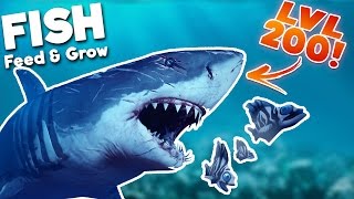 BIGGEST GREAT WHITE SHARK IN THE SEA LEVEL 200 SHARK  Feed And Grow Fish Gameplay [upl. by Yrelbmik]