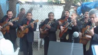 La Rondalla Tamaulipeca 2014  El Maderense [upl. by Atnwahsal]