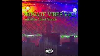 Monate Vibes Vol2 Amapiano MIx Mixed By Short Vocals [upl. by Bringhurst]