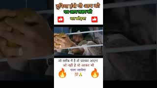 जो नसीब है वो चलकर आयेगाbholastudycentre motivationstatus viralvideo shortsmotivationalquotes [upl. by Ajar]