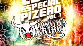 CD COMITIVA FRIBOI ESPECIAL PIZERO VOL 1 [upl. by Fagan]