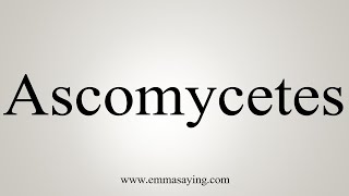 How To Say Ascomycetes [upl. by Eenal998]