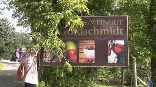 PUNKTum Obsthof Goldschmidt Beyernaumburg lud zu Federweißerfest [upl. by Kerrin]