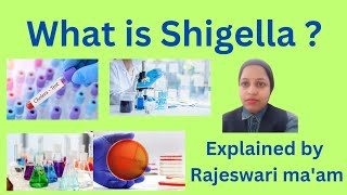 what is Shigella [upl. by Nnyrat]