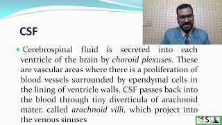 Ventricles of Brain  cerebrospinal fluid and functions of CSF [upl. by Lindemann]