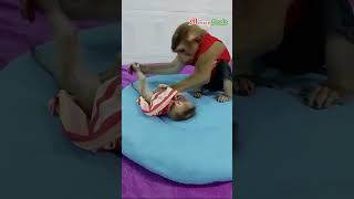 dodo wake newborn up cutenewborn lovelynewborn newbornmonkey clevermonkey [upl. by Easlehc]