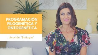 Programación Filogenética y Ontogenética [upl. by Lion471]