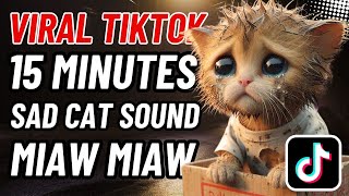 15 Minutes Miaw miaw miaw miaw Song sad story of a cat without a home FULL😭 cat aicat catlover [upl. by El]