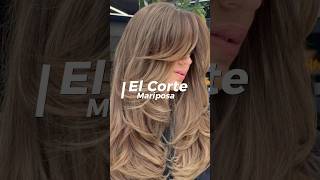 CORTES DE CABELLO ELEGANTES ✨⚜️ hairstyle haircut estilo elegance fashion [upl. by Whyte302]