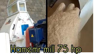 Hammer mill 75 hp [upl. by Alejo]