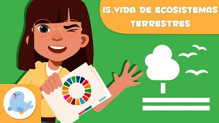 Vida de los ecosistemas terrestres 🌳 ODS 15 🐻 Objetivos de desarrollo sostenible para niños [upl. by Nivloc699]