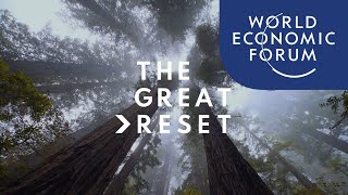 The Great Reset [upl. by Nilo]