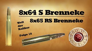 8x64 S Brenneke  8x65 RS Brenneke  Welt der Kaliber  Folge 18 [upl. by Arramat]