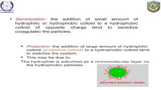 colloids 21Stability of colloidal Sol [upl. by Kapoor]