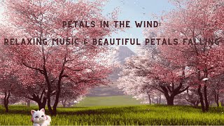 Petals in the Wind Relaxing Music amp Beautiful Petals Falling  🌸🍃🍃風中的花瓣：輕鬆的音樂和美麗飄落的花瓣 🌸🍃🍃 [upl. by Annaiek]