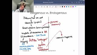 Exogenous vs Endogenous Protein Degradation [upl. by Henriques]