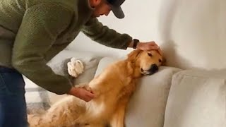 Videos De Risa De Animales 2023  10 Momentos Más Divertidos Entre Perros y Dueños del Año 😂 [upl. by Latrice400]