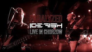 ICEFISH quotParalyzedquot Live in Chorzów [upl. by Llecram]