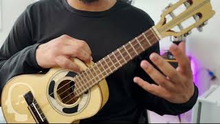 CAVAQUINHO  PRIMEIROS ACORDES [upl. by Ronoh]