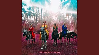 Playa Grande Uproot Andy Remix [upl. by Arrat]