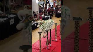 Xiang Yi Culture and Sport Club  Sri Petaling Mall  Lion Dance Championship 2024 [upl. by Bahr]