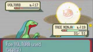 Pokemon Sapphire Walkthrough Part 19 Mauville City Gym [upl. by Mall]