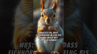 🐿🌰 Die Welt der Eichhörnchen entdecken 🧡shorts facts [upl. by Eruza]