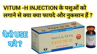 VITUM H INJECTION के पशुओं को लगाने से क्या क्या फायदे और नुकसान हैं [upl. by Eustashe]