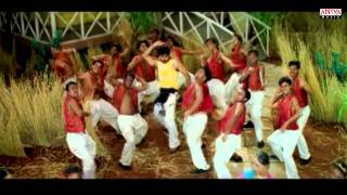 Bhadra Video Songs  Erra Koke Song  Ravi tejaMeera jasmine [upl. by Labanna]