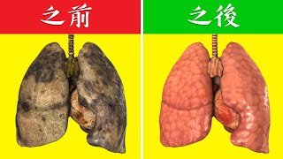 肺部排毒的4種最好自然療法柏格醫生 Dr Berg [upl. by Aicilehp]