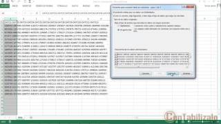 Separar Textos En Distintas Columnas de Excel [upl. by Enneiviv]