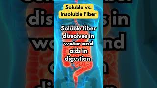 Soluble vs Insoluble Fiber [upl. by Battista931]