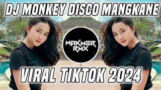 DJ MONKEY DISCO MANGKANE VIRAL TIKTOK 2024 [upl. by Bo]