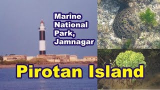 Pirotan Island  Marine National Park Jamnagar [upl. by Leba]