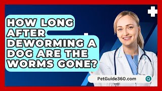 How Long After Deworming A Dog Are The Worms Gone  PetGuide360com [upl. by Annavaig]