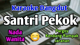 SANTRI PEKOK  KARAOKE  NADA WANITA CEWEK  Versi Koplo  Pargoy  Live Keyboard [upl. by Nyrat]