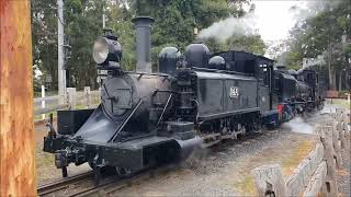 Puffing Billy 2 February 2024 [upl. by Aztiraj]