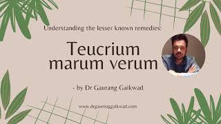 Understanding Teucrium marum verum with Dr Gaurang Gaikwad [upl. by Artened]