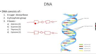 ALevel Chemistry Polymerisation Part 9 [upl. by Aniar]