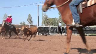 Dualin Pepto amp Drew Stevenson Mitchell Livestock Snaffle Bit Cutting [upl. by Mad308]