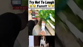 Breezer video viral sorts pyaar happy 👶 💕 [upl. by Tyree]