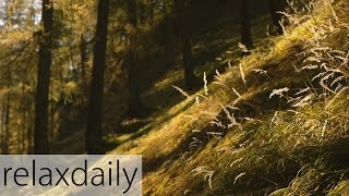 Relaxing Piano Music  smooth yoga study relax – relaxdaily N°094 [upl. by Ube]