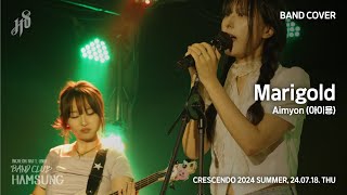 인천대 함성 Aimyon 아이묭  Marigold  BAND COVER [upl. by Rozamond531]