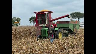 Half century of progress show 2023 IH 303 combine and D john Deere [upl. by Alemap894]