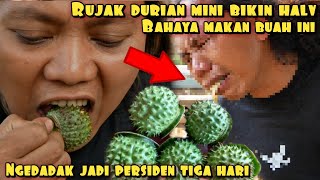 GAW4T RUJAK DURIAN MINI BIKIN HALV 3 HARI [upl. by Lareine116]