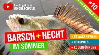 Barsch  Hecht Angeln im Sommer 🎣 Staffel 2 Folge 10 [upl. by Lukasz974]