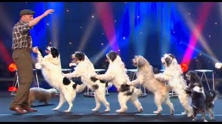 Wolfgang Lauenburger  Dressage de Chiens  Le Plus Grand Cabaret Du Monde [upl. by Dennett]