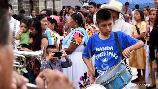 Banda de Viento Tradicional Santiago Apostol de Acatitla Chicontepec Ver [upl. by Ainitsirk]